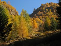 Autunno in Val Varrone (26 ottobre 08) - FOTOGALLERY